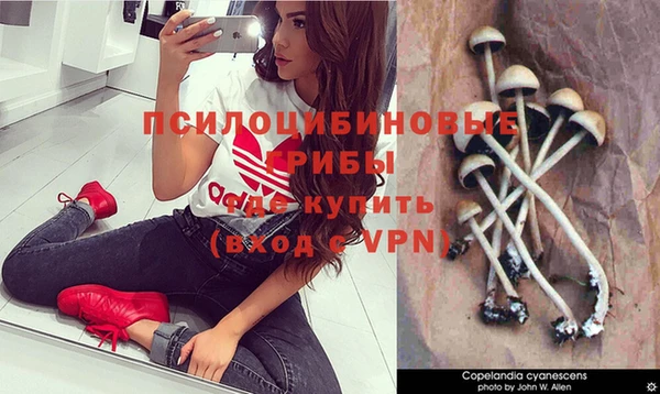 дмт Касимов