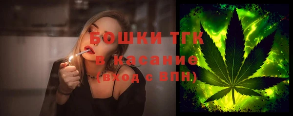 дмт Касимов