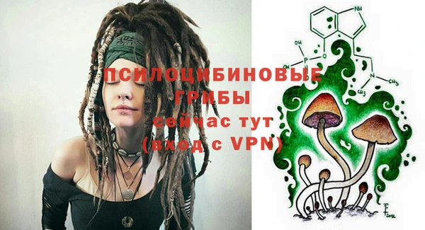 дмт Касимов