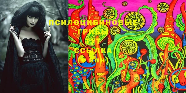 марки lsd Карпинск
