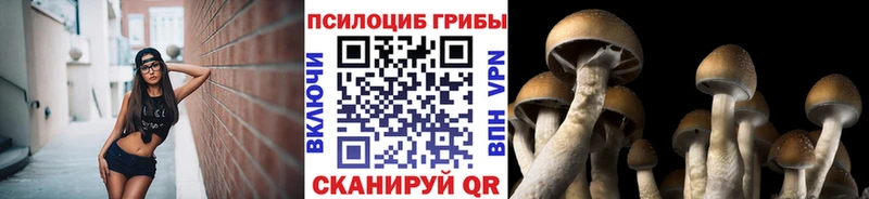 Псилоцибиновые грибы мухоморы  Купить закладки  Заволжье 